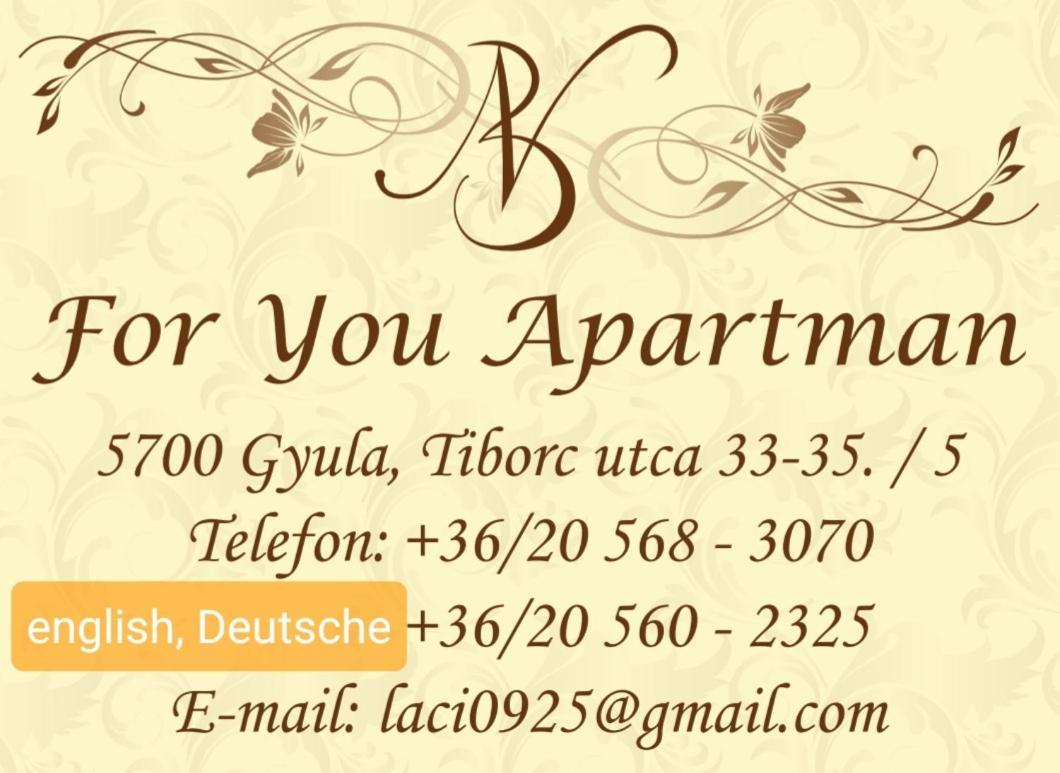 For You Apartman Gyula Zewnętrze zdjęcie