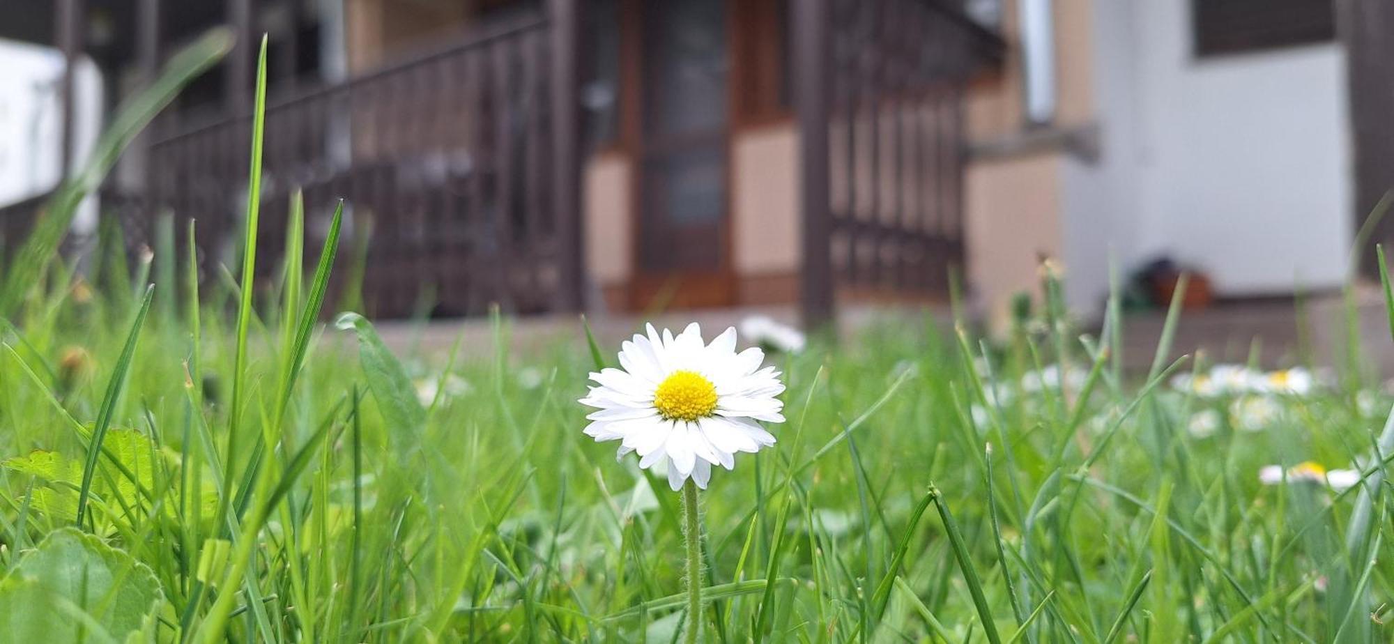 For You Apartman Gyula Zewnętrze zdjęcie